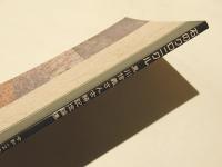 石のクロニクル : 黒川信義さん古稀記念論集