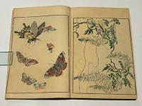 花鳥画集