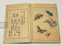 花鳥画集