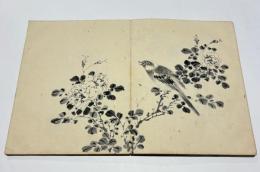 金子雪操花鳥画 「分江帖」