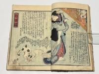 仮名手本　夜光玉　(仮名手本 忠臣蔵)