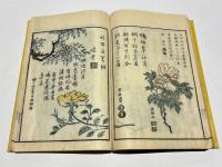 名数画譜
