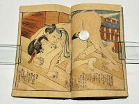 仇競色初譯