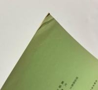 大江正路先生伝 大森流 長谷川流 居合術　京都英信会叢書 第二冊