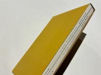 新延野田遺跡群 : 九州電力株式会社500kv北九州線No.171建設に係わる埋蔵文化財の調査報告書 : 福岡県鞍手郡鞍手町大字新延字野田所在遺跡の調査