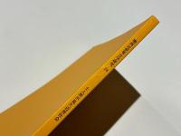 関西近世考古学研究　16　土人形が見た近世社会