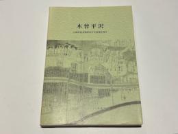 木曾平沢 : 伝統的建造物群保存対策調査報告