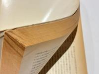 日本考古学の諸問題 : 考古学研究会十周年記念論文集