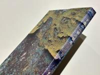 下池山古墳の研究