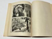 兵庫縣赤穗郡西野山第三號墳