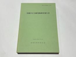 史跡中宮寺跡発掘調査報告書