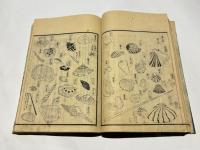 尾張名所図会　前編