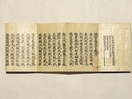 不許翻刻 普通真言蔵(浄厳) / 古本、中古本、古書籍の通販は「日本の