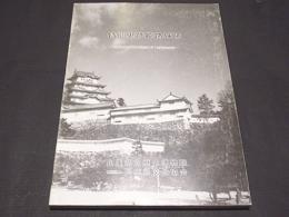 特別史跡姫路城跡 : 兵庫県立歴史博物館建設に伴う発掘調査報告