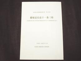 藤原京右京十一条三坊　奈良県文化財調査報告書161