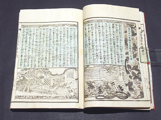 絵本石山軍記 初編・第二編 (和本)(土屋正義編述 松川半山画) / 古本