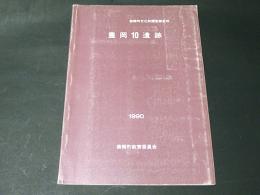 豊岡10遺跡
