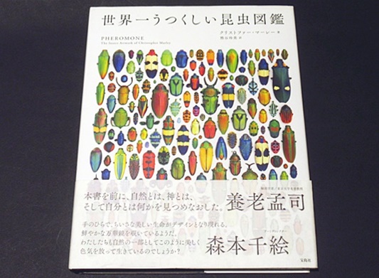 世界一うつくしい昆虫図鑑(クリストファー・マーレー 著 ; 熊谷