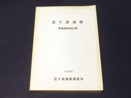 芝ケ原遺跡発掘調査報告書