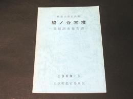 脇ノ谷古墳発掘調査報告書