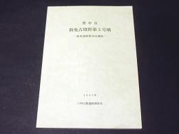 豊中市　新免古墳群第3号墳　-新免遺跡第38次調査-