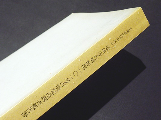 千葉県成田市所在 竜角寺古墳群第101号古墳発掘調査報告書(千葉