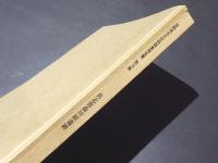 真志喜森川原遺跡 : 個人住宅建設に係る緊急発掘調査報告書