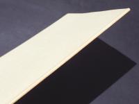 第1回　楽しく学ぶ歴史シンポジウム「城ってなんだろう?」