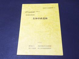 名和中畝遺跡　　鳥取県教育文化財団調査報告書103