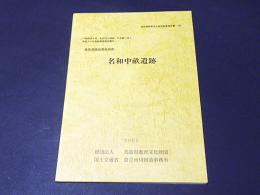 名和中畝遺跡　　鳥取県教育文化財団調査報告書103