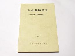 古市遺跡群3　羽曳野市埋蔵文化財調査報告書7