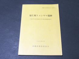 安仁屋トゥンヤマ遺跡 : 下級下仕官隊舎建設に伴う緊急発掘調査報告