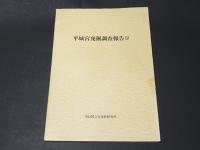 平城宮発掘調査報告　第4 　官衙地域の調査 2