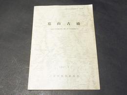 墓山古墳 : 国道176号線拡幅工事に伴う発掘調査