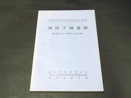 神保下條遺跡　鏑川流域における埴輪出土古墳の調査