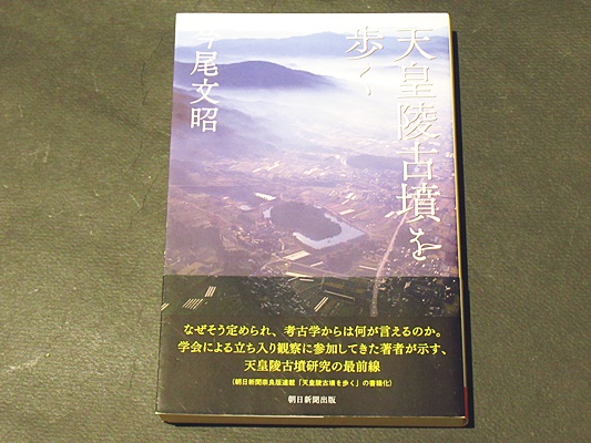 同型鏡とワカタケル : 古墳時代国家論の再構築(川西宏幸 著) / 藤沢