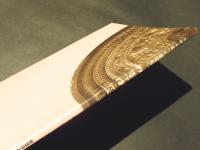 大陸文化へのまなざし　発掘速報展　大坂