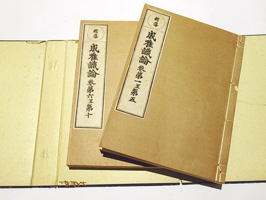新導 成唯識論(佐伯定胤校訂) / 古本、中古本、古書籍の通販は