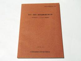 但馬・禰布ケ森西遺跡調査報告書 : 312号日高バイパスに伴う発掘調査