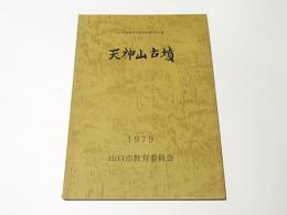 天神山古墳　山口市埋蔵文化財調査報告　第8集