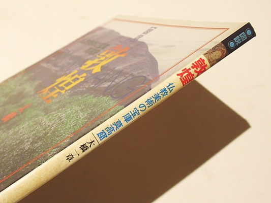図説敦煌 : 仏教美術の宝庫莫高窟(大橋一章 著) / 古本、中古本、古