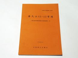 養久山42・43号墳　-山陽自動車道関係埋蔵文化財調査報告Ⅲ-