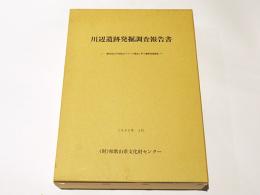 川辺遺跡発掘調査報告書 : 一般国道24号和歌山バイパス建設に伴う遺跡発掘調査