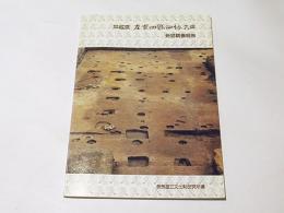 平城京左京四条四坊九坪発掘調査報告