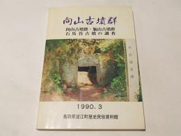 向山古墳群 : 向山古墳群・瓶山古墳群 石馬谷古墳の調査