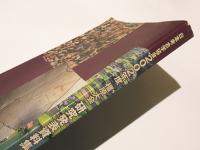 日本考古学協会2002年度橿原大会研究発表会資料集