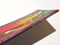 験佛化現 : 立山権現と越中の生身仏信仰 : 平成三十年度前期特別企画展