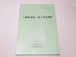 小楜桃遺跡・西ノ谷古墳群 : 平成30年度太陽光発電施設建設事業に伴う埋蔵文化財発掘調査報告書