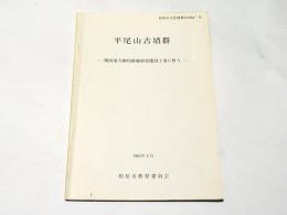 平尾山古墳群 : 関西電力御坊幹線鉄塔建設工事に伴う