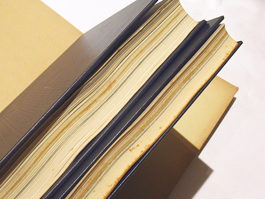 楽浪漢墓 第一冊・第二冊 / 古本、中古本、古書籍の通販は「日本の